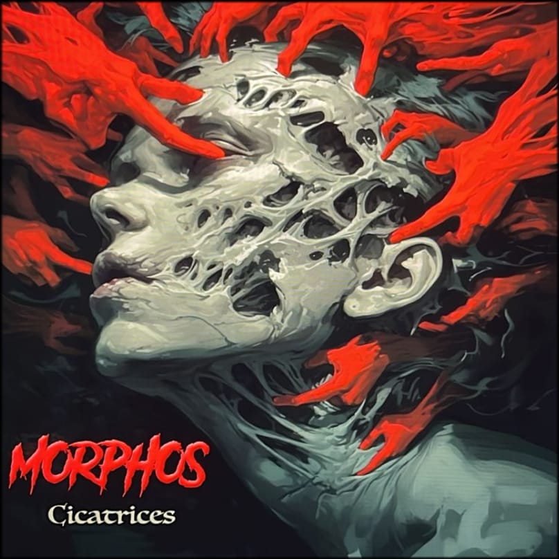 Portada Cicatrices